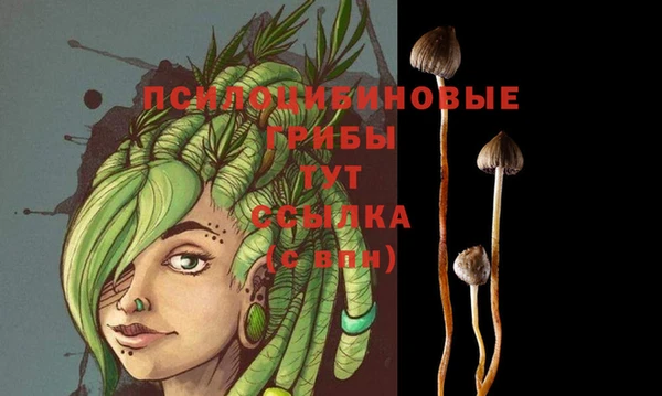 мескалин Алексеевка
