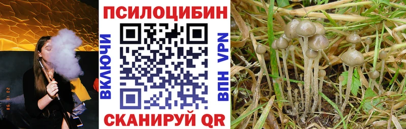Галлюциногенные грибы мухоморы  Любим 